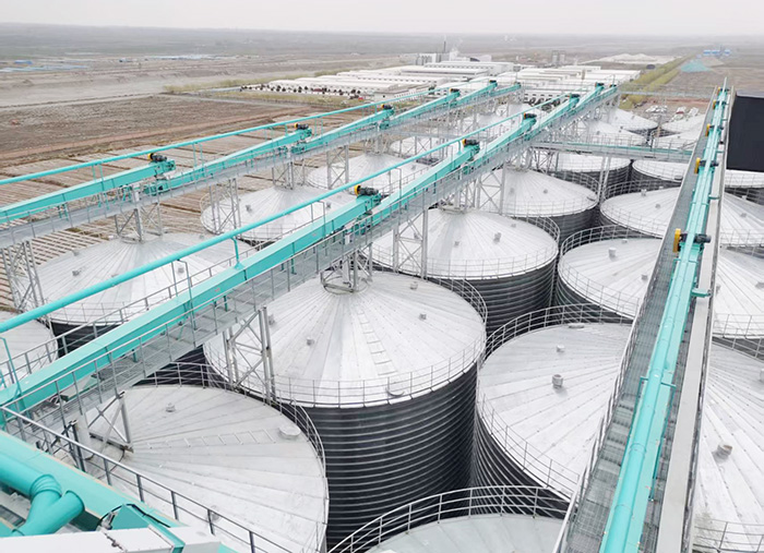 甘肅紅太陽(yáng)面業(yè)集團(tuán)項(xiàng)目筒倉(cāng)輸送設(shè)備